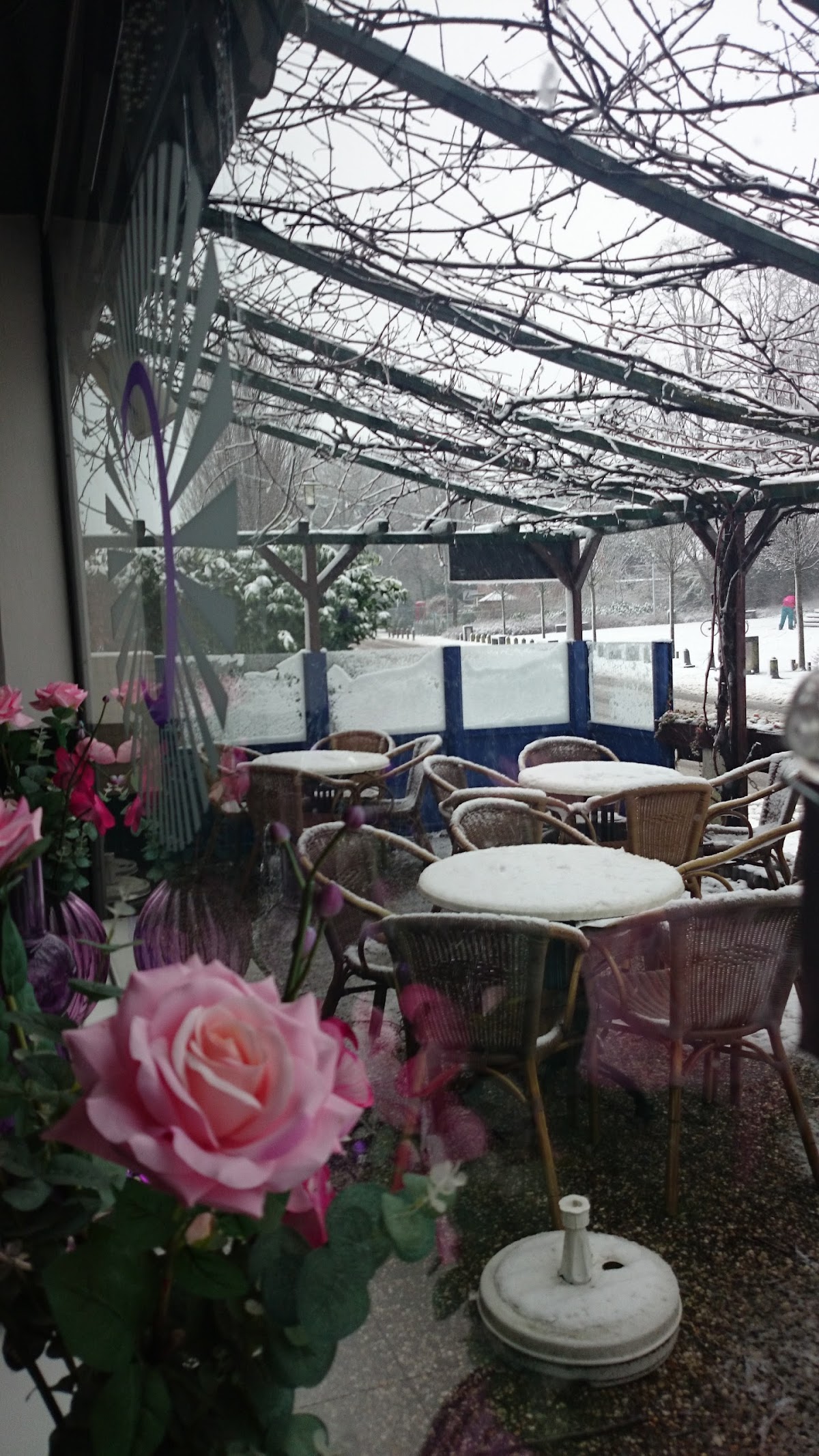 Carola's Cafetaria - 7